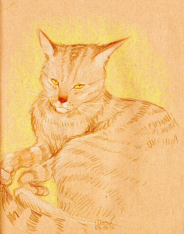 chat-dessin-yeux-jaune